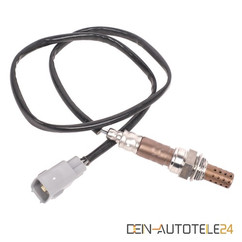 Diagnosesonde nach kat - diagnosesonde,