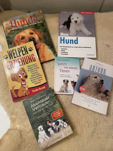Buch hunde erziehung - buch,
