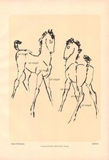 Fohlen - Rene Sintenis - 1928 - Historischer Kunstdruck ~19x29cm