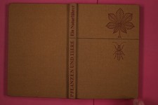 295322 Christoph Needon