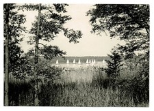 alte AK Postkarte * Templiner See * Bezirk Potzdam * DDR 1966 * ungelaufen