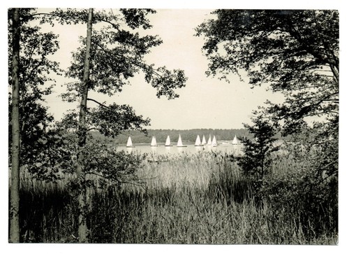 Alte postkarte templiner - alte,