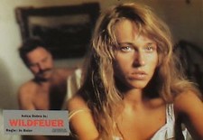 WILDFEUER - AHF Aushangfotos