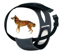 Trixie Schutzhöschen für