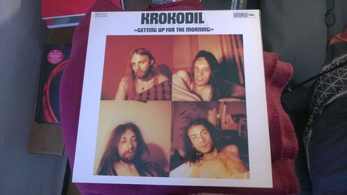 Krokodil getting up - getting, for