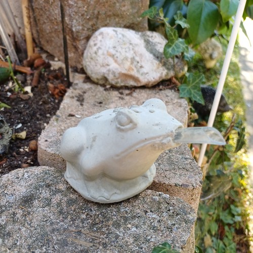Frosch wasserspeier beton für - beton,