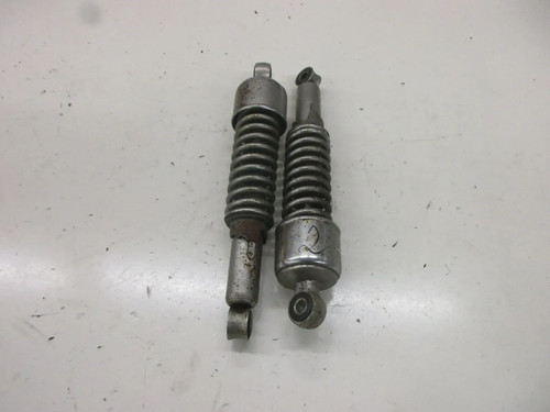 Suzuki 250 ram air - gt,