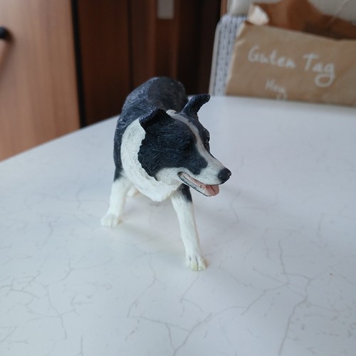 Sammelfigur border collie - border,