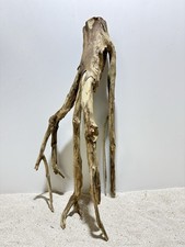 Talawa Wurzel XXL ähnlich