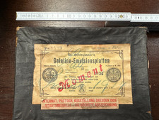 Konvolut Schädel Studien auf