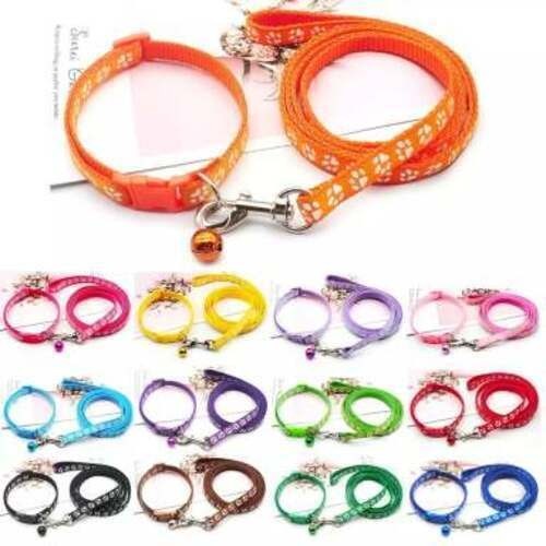 Hundehalsband und leine set - und,