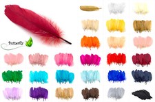 10 Gänsefedern 15-20cm Gans