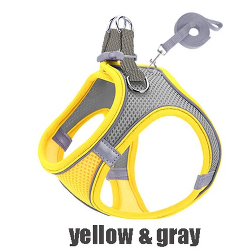 Hundegeschirr set - hundegeschirr,
