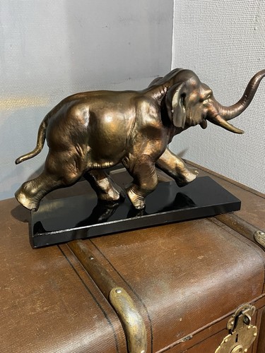 Elefant tölt - im,