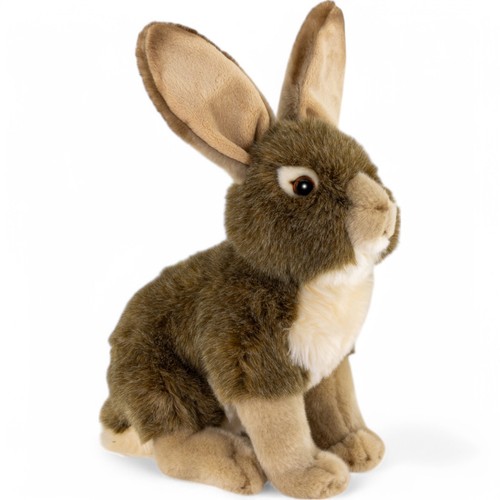 Hase sitzend mit großen - , ohren