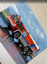 original Foto 20x30 FLF Simba