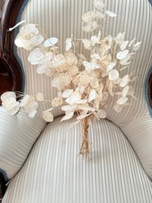 Lunaria Annua, Silberdollar