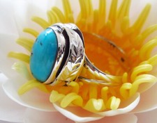 Ω Ring Feder mit Türkis