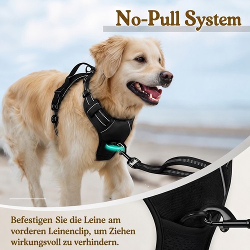 Hundegeschirr