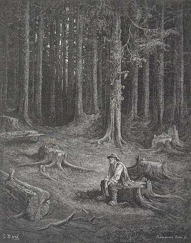 Der wald und holzfäller - wald,