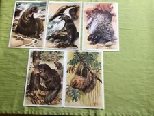 Tierbilder v. Sammelalbum