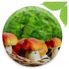 10x Deckel "grzyb G-02" 66-4