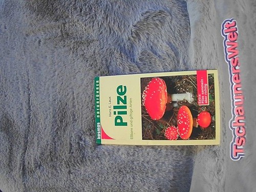 Pilze essbare und giftige - :,