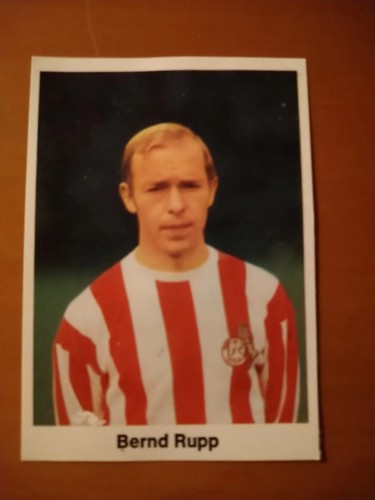 Bernd rupp - bernd,