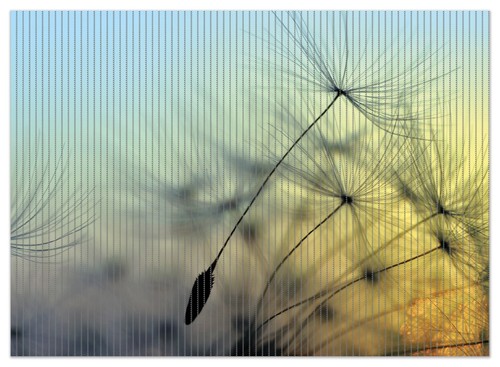 Wallario duschmatte bad - wallario,