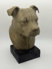 Staffordshire bullterrier hund - bullterrier,