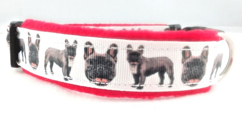 Hundehalsband französische - hundehalsband, "französische