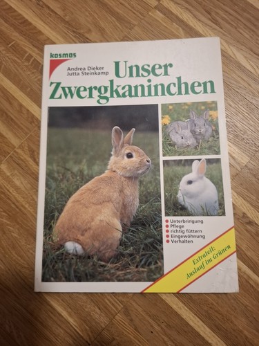 Unser zwergkaninchen dieker - zwergkaninchen,