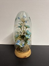 American Vintage Glass Dome