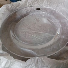 Rose von Versailles HOYO