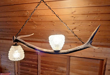 Echte Geweihlampe mit 2