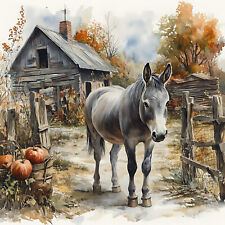 Wandbild Esel Bauernhof