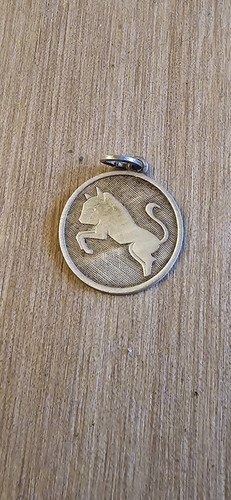 Anhänger sternzeichen stier - anhänger,