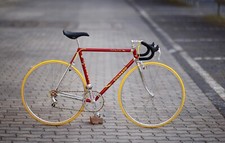 Colnago Oval Cx Campagnolo 50th Group Eroica