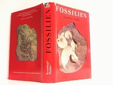 Fossilien. Urkunden