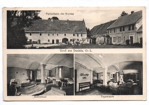 Litho gruß aus daubitz - ak,