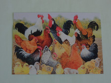 1x Postkarten Pat Scott