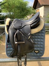 Amerigo - DJ Dressur Pinerolo