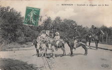 92 ROBINSON CAVALCADE - ANES -