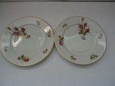 Rosenthal Winifred Kuchenteller Weiß mit Goldrand Wild Rose D 19,7   2 Stück