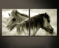 HORSES Leinwand Bild