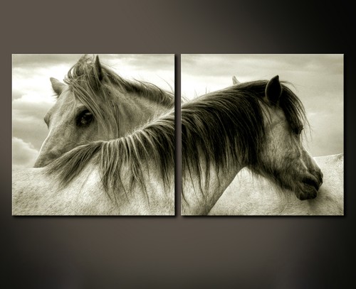 Horses leinwand bild - horses,