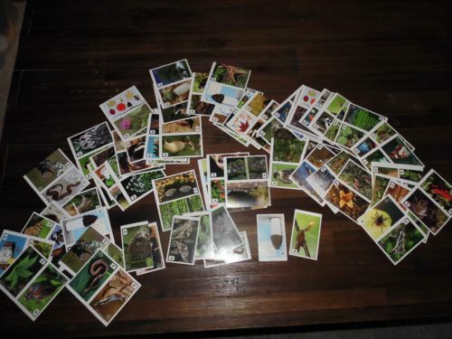 Edeka toom wwf unser wald - edeka,