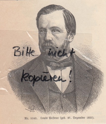 Bilddokument 1893 louis - 1893,,