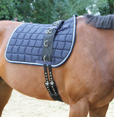 Longiergurt breit kerbl pony - longiergurt,