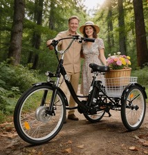 2026 Elektrisches Dreirad 250W